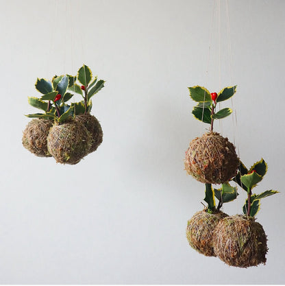 Ilex | Mini azevinho de Natal