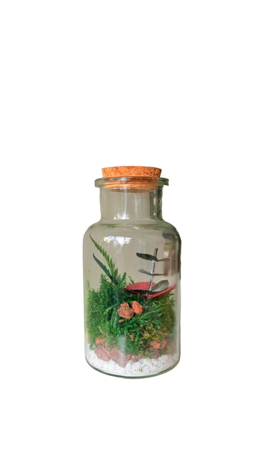 Mini _Terrário _Preservado
