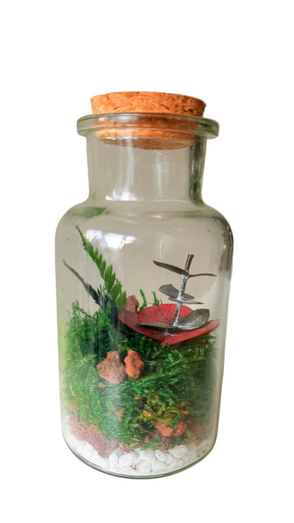 Mini Terrário Preservado 