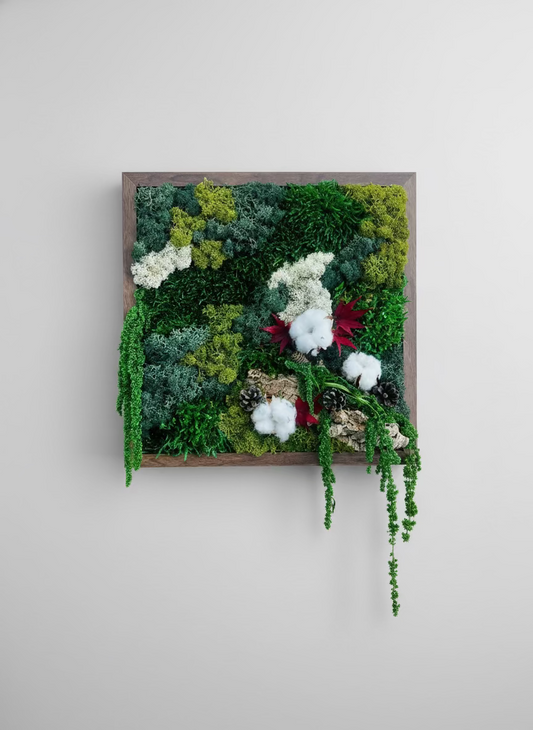 Moldura Madeira Castanha 30x30cm com Musgo e Plantas Preservadas