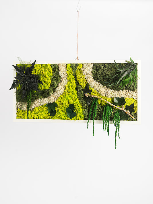 Quadros vivos com musgo / painéis e revestimentos com musgo