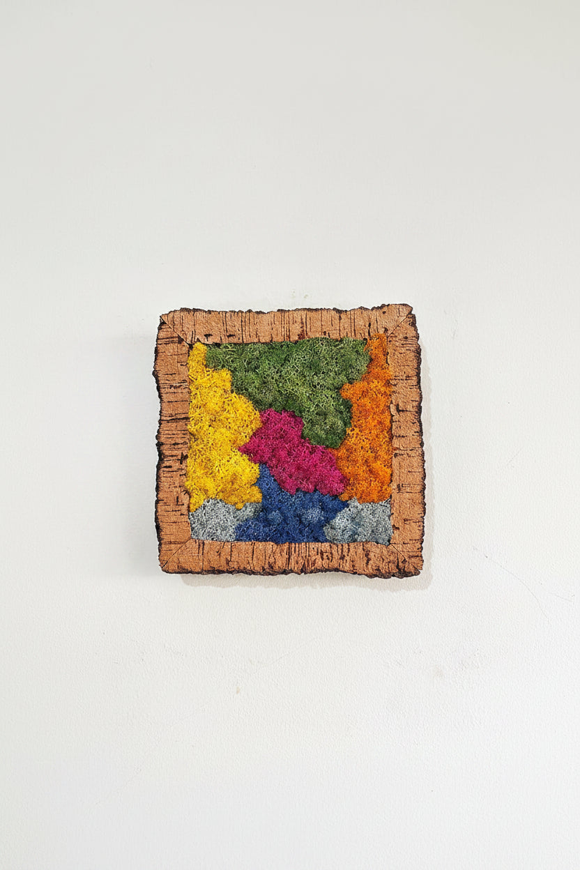 Moldura em Cortiça com Musgo Preservado Abstrato Multicolor