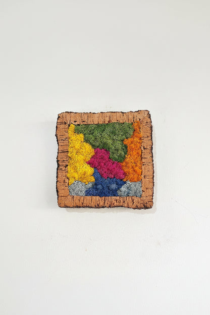 Moldura em Cortiça com Musgo Preservado Abstrato Multicolor