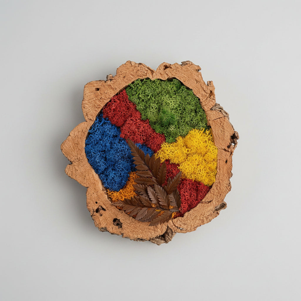 Moldura em Cortiça com Musgo Preservado Abstrato Multicolor