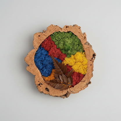 Moldura em Cortiça com Musgo Preservado Abstrato Multicolor