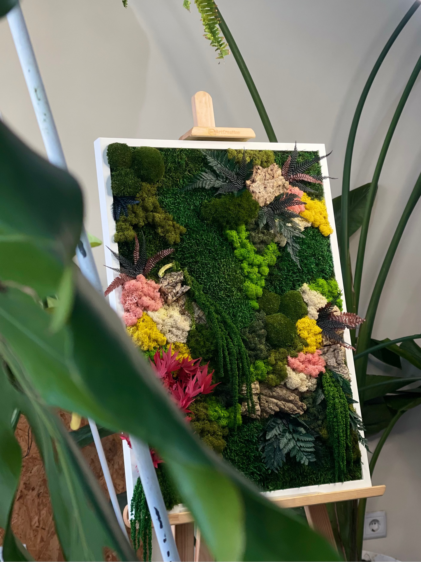 moldura branca com musgo e plantas preservadas