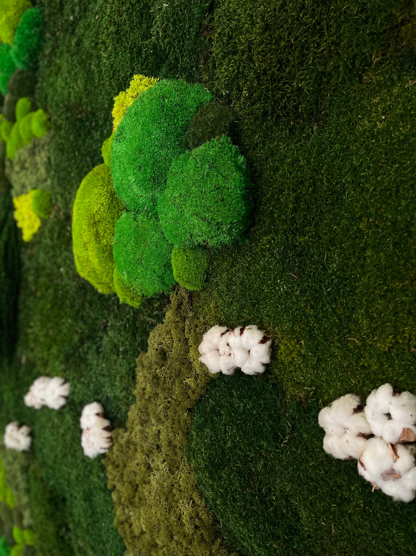 Molduras / painéis / jardins verticais e revestimentos com musgo e plantas preservadas