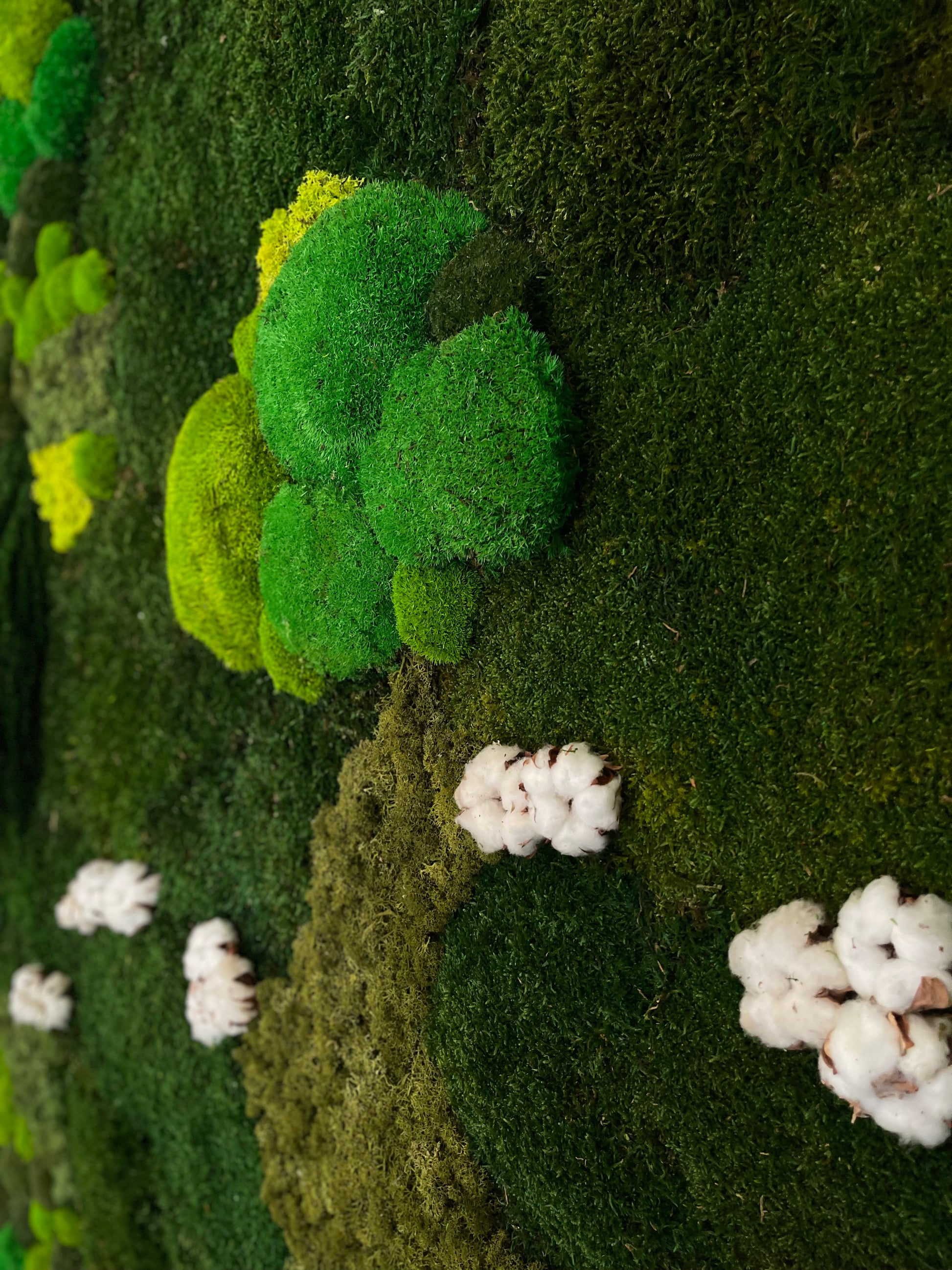 Molduras / painéis / jardins verticais e revestimentos com musgo e plantas preservadas