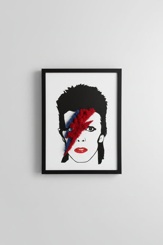 Quadro David Bowie com Musgo Preservado 40x30cm | Arte Tridimensional