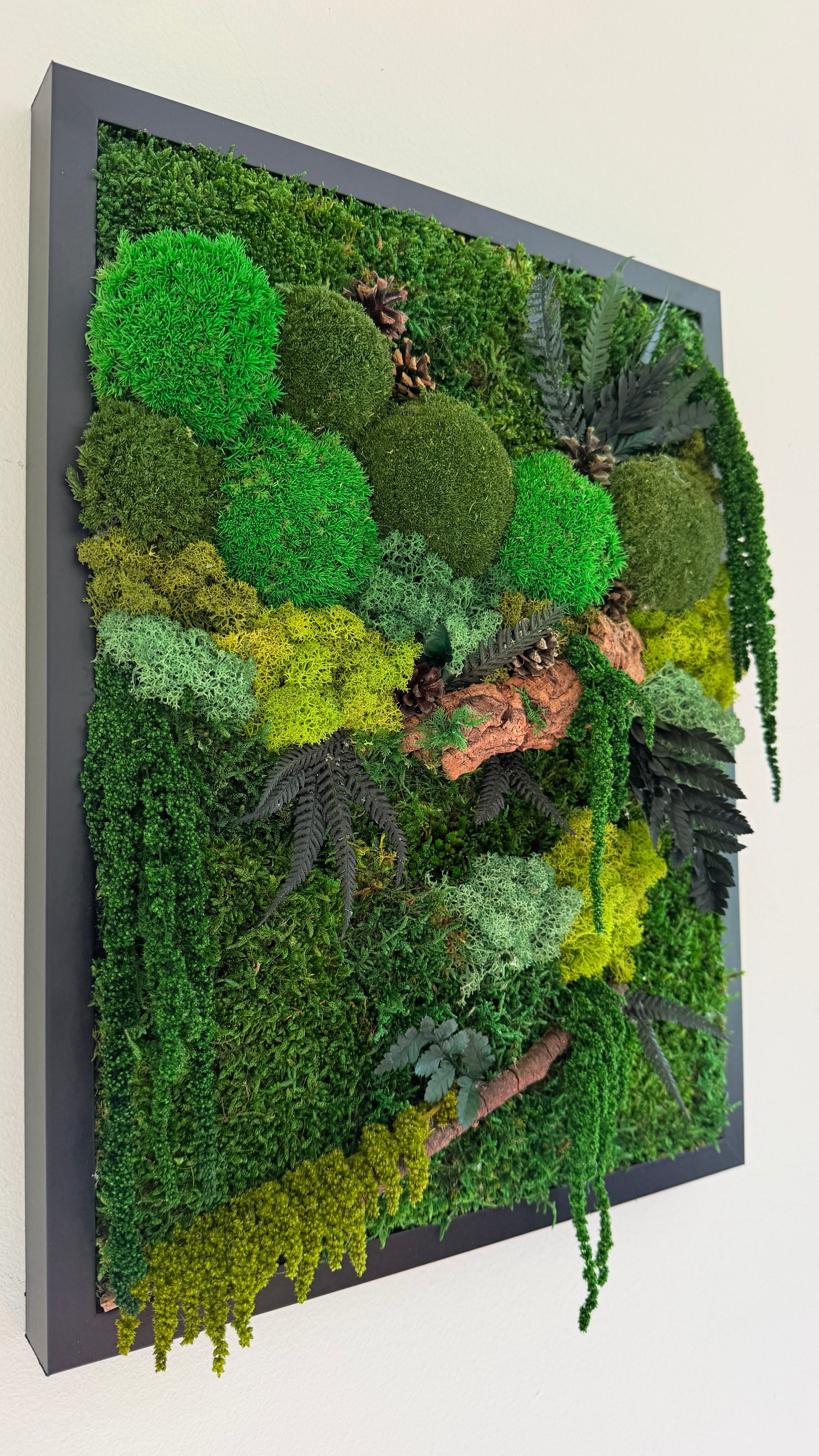  jardim vertical musgo preservado
