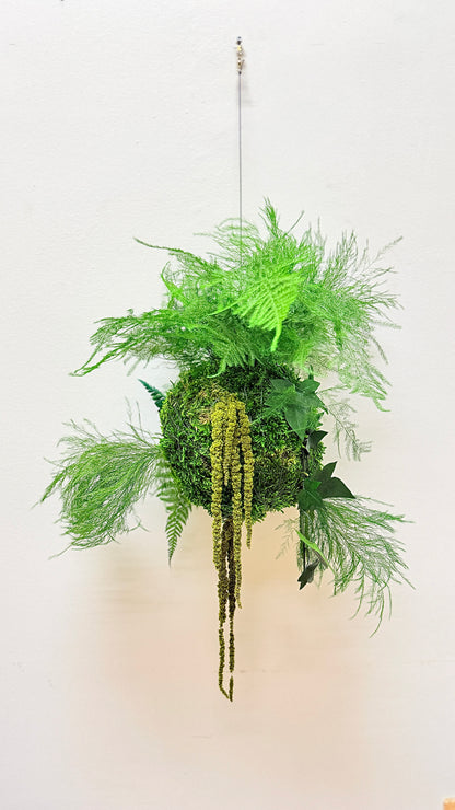 Kokedama preservado Colecção TERRAE