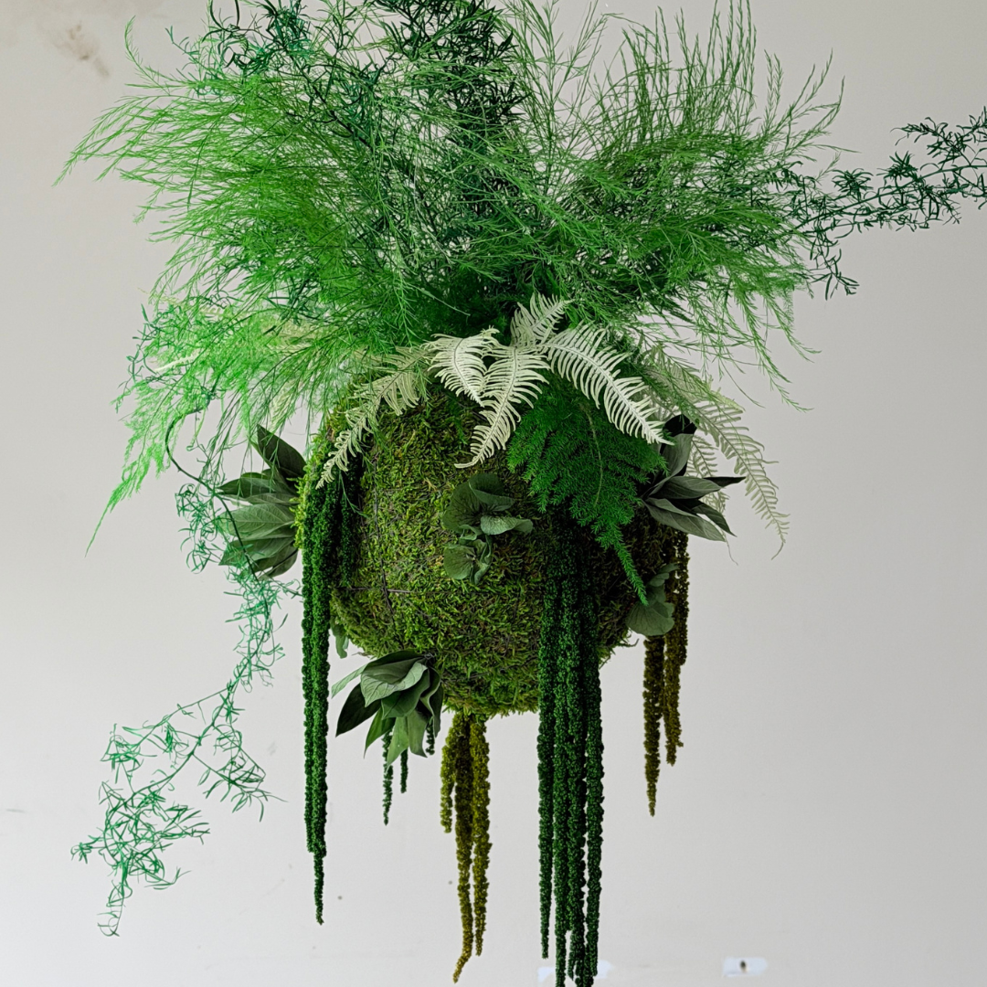 kokedama musgo preservado 