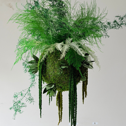 kokedama musgo preservado 