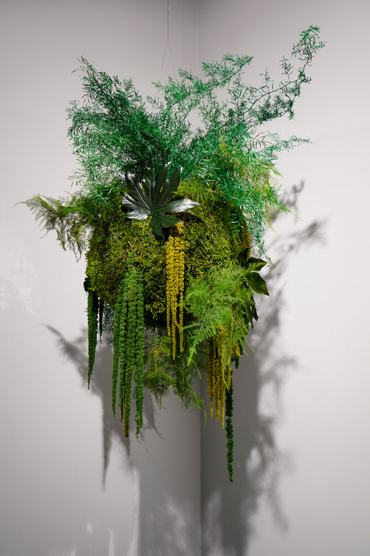 Kokedama preservado Colecção TERRAE