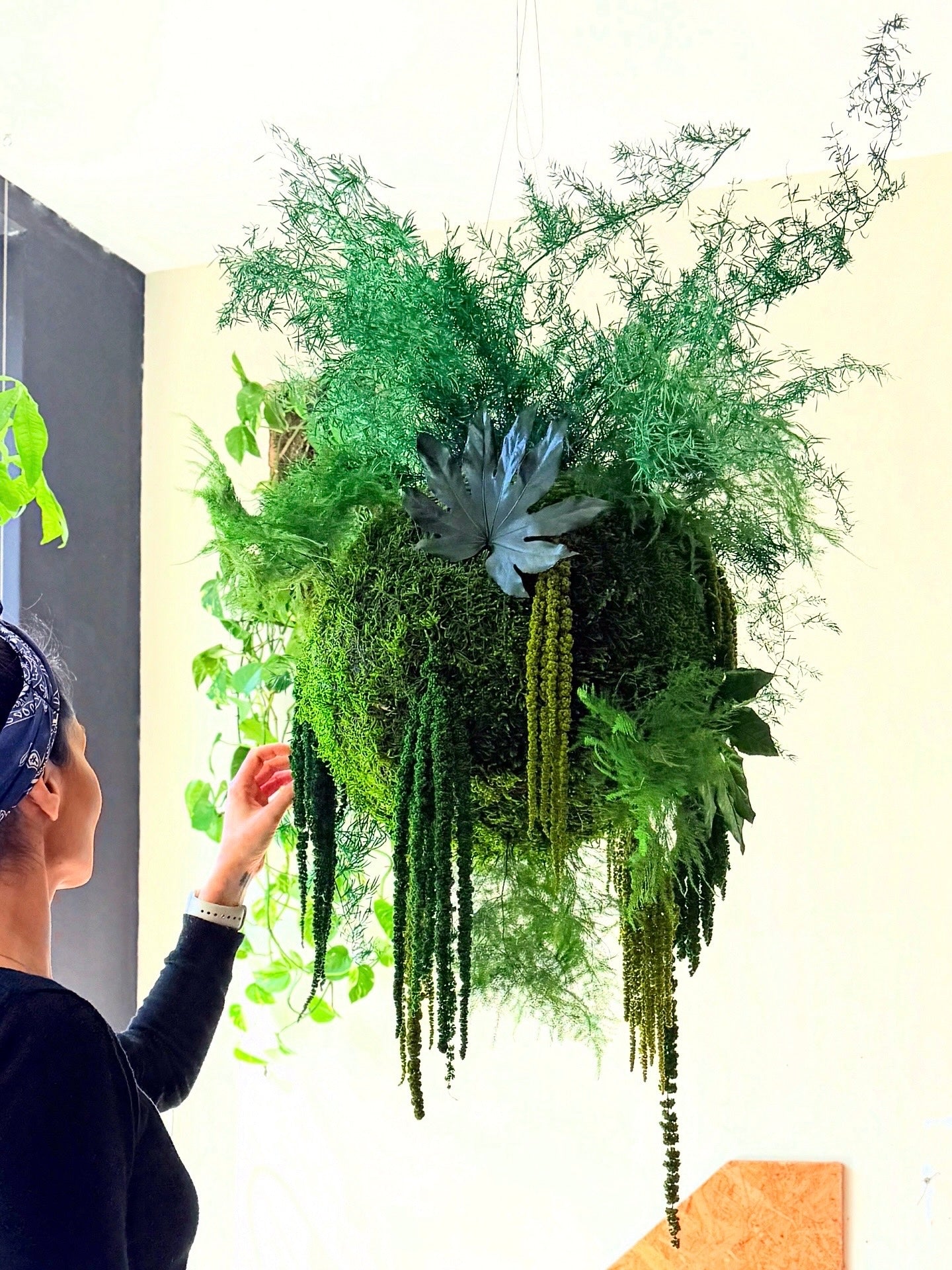 kokedama preservado terrae