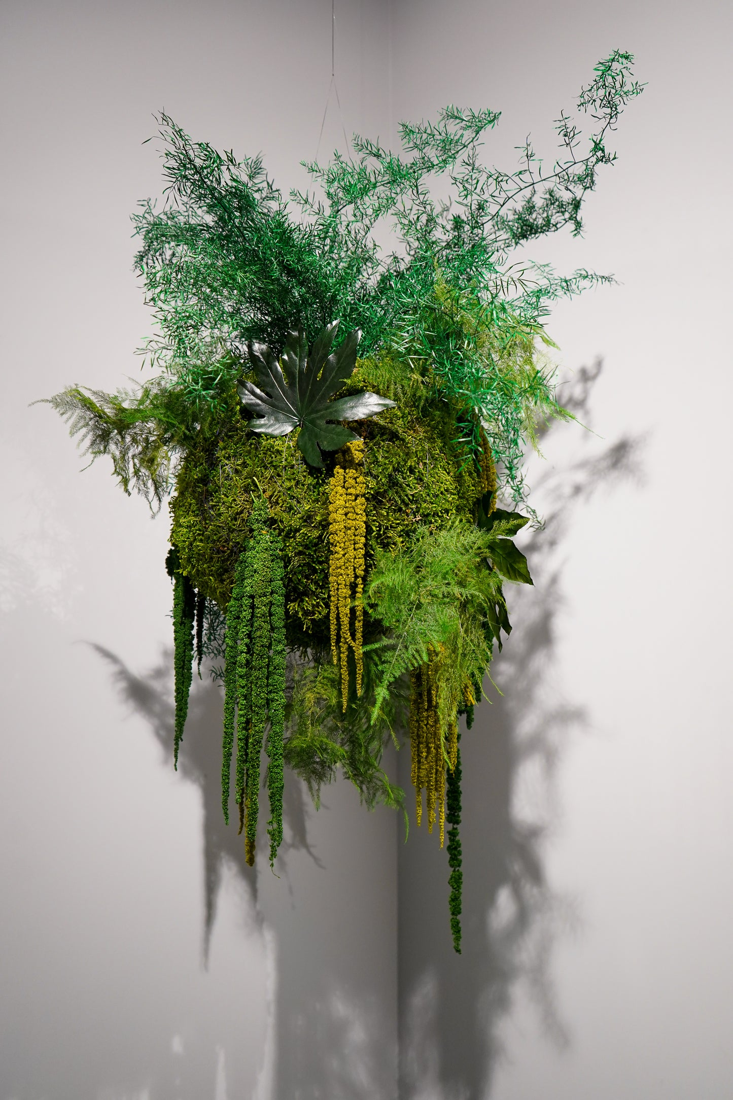 kokedama preservado