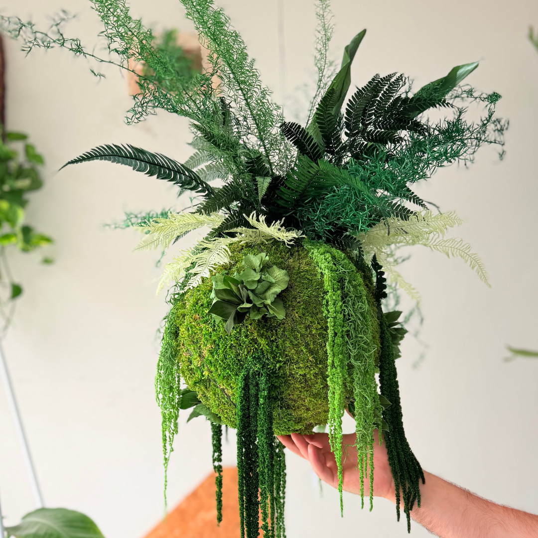 kokedama preservado terrae