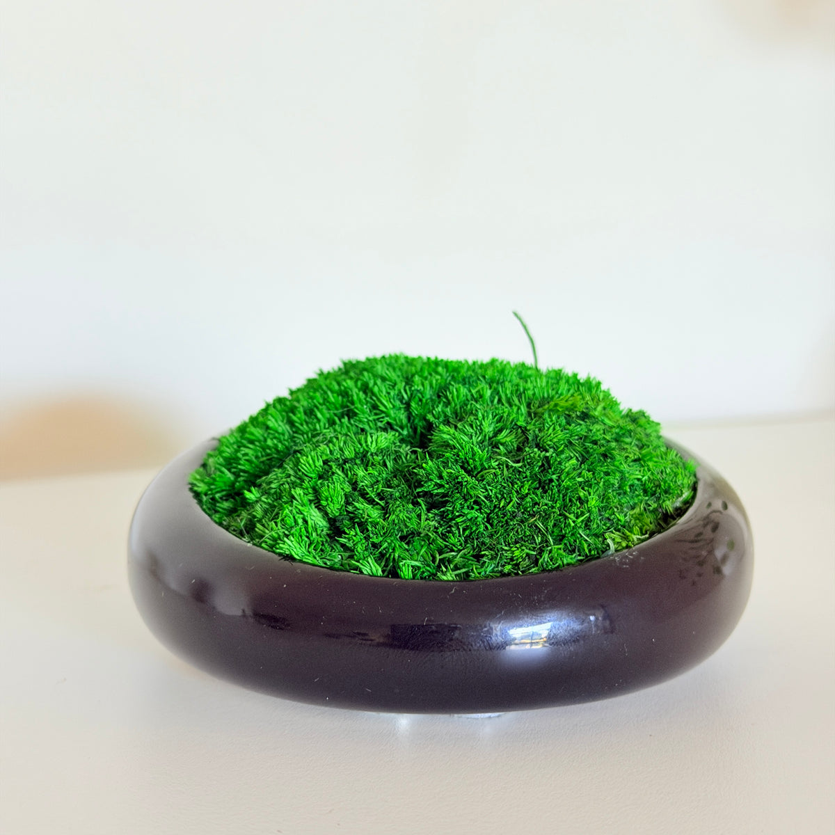Íman e Decoração de Mesa Oval