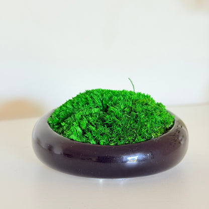 Íman e Decoração de Mesa Oval