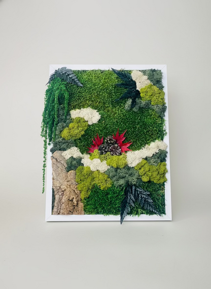 Moldura Madeira Branca 30x40cm com musgo e plantas preservadas