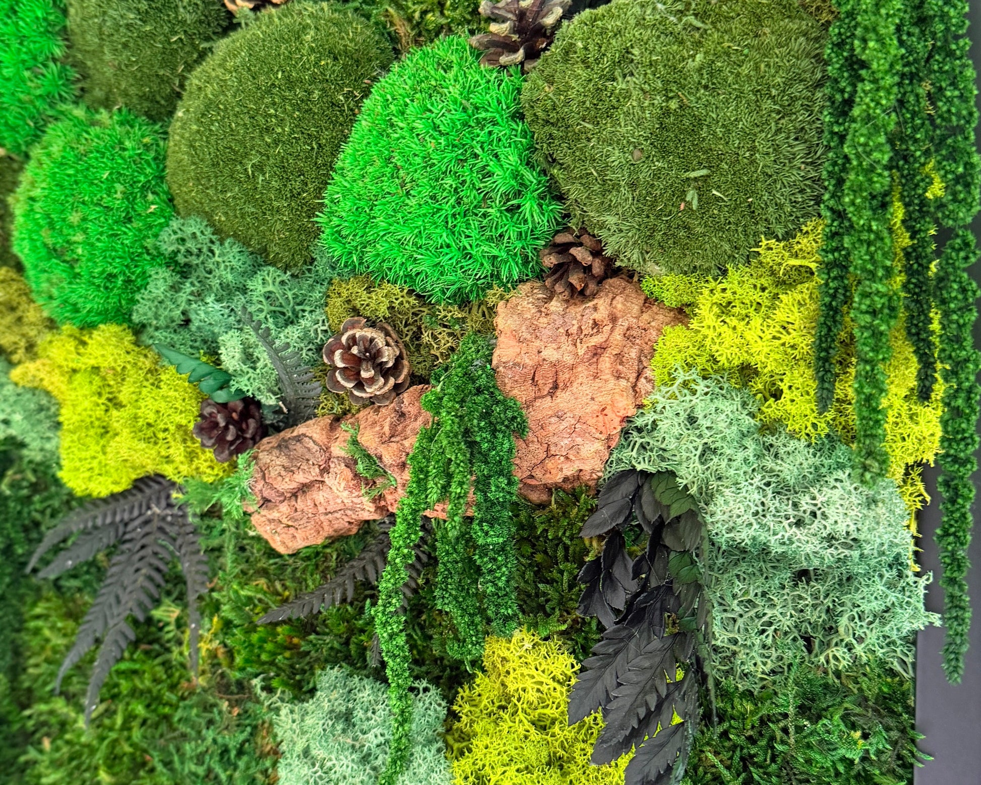 moldura musgo e plantas preservadas com cortiça