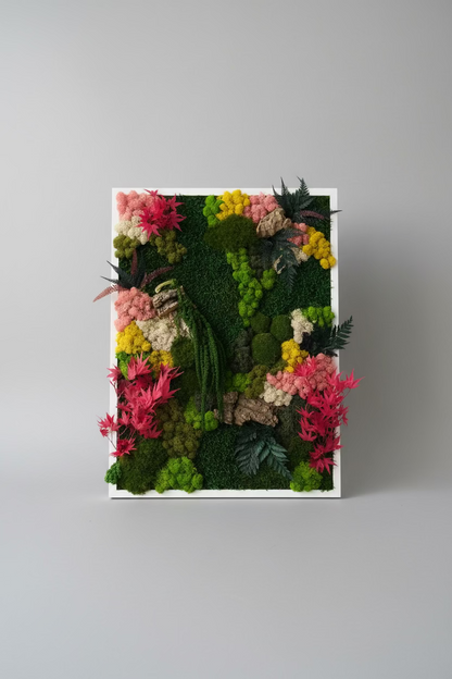 moldura branca com musgo e plantas preservadas
