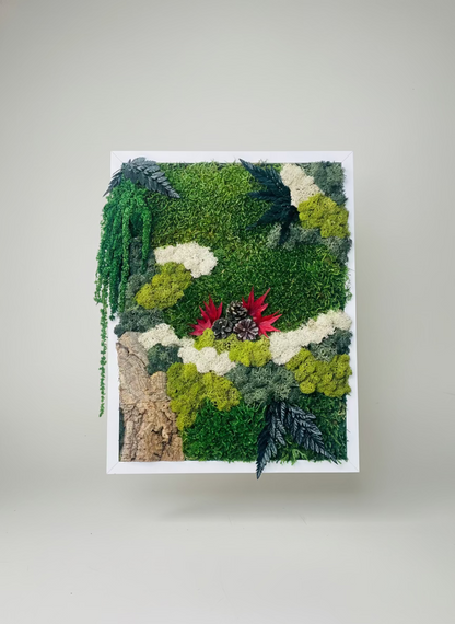 moldura com musgo e plantas preservadas
