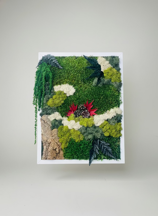 moldura com musgo e plantas preservadas