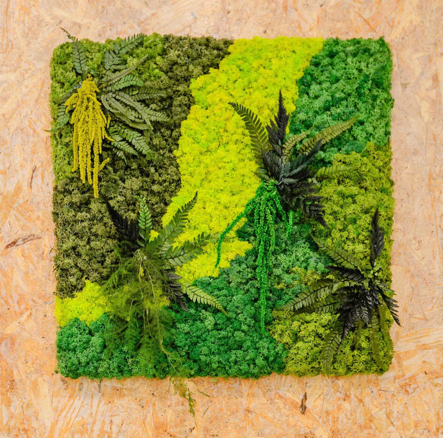 Molduras / painéis / jardins verticais e revestimentos com musgo e plantas preservadas