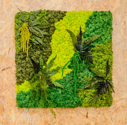 Molduras / painéis / jardins verticais e revestimentos com musgo e plantas preservadas