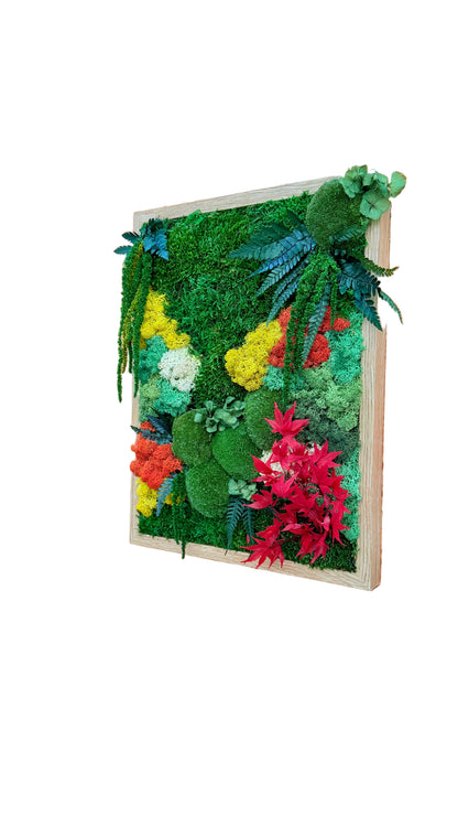 Moldura de musgo preservado com acer e plantas preservadas