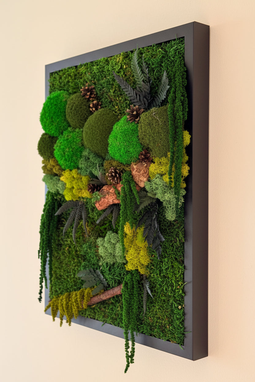 moldura musgo e plantas preservadas com cortiça