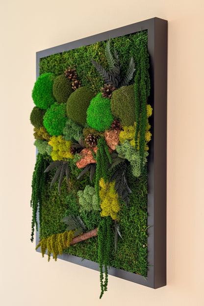 moldura musgo e plantas preservadas com cortiça