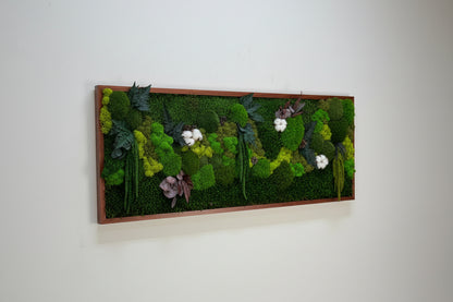 Molduras / painéis / jardins verticais e revestimentos com musgo e plantas preservadas