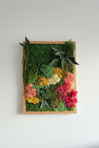 moldura musgo e plantas preservadas