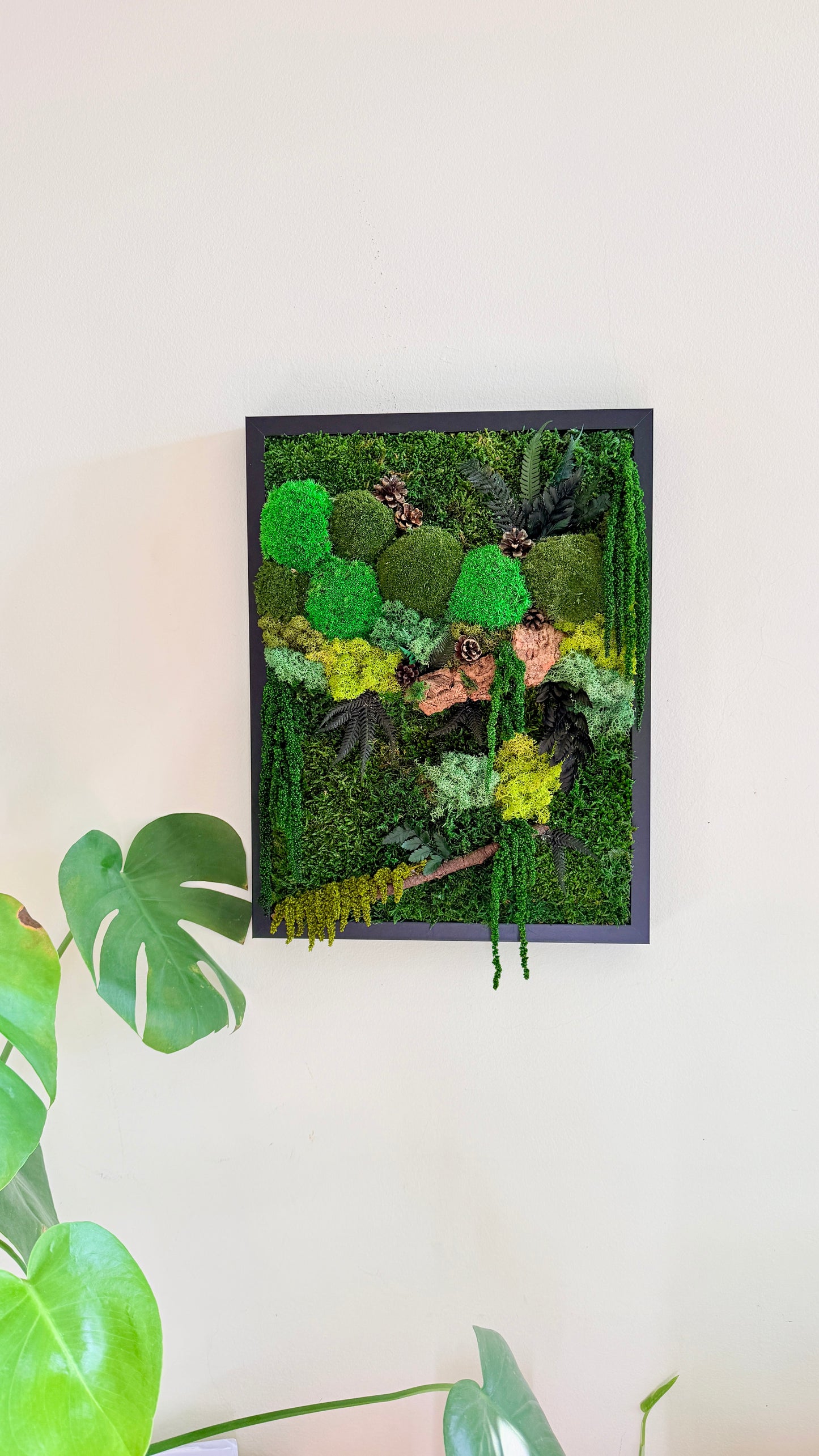 moldura musgo e plantas preservadas com cortiça