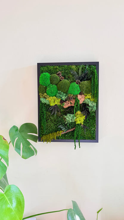 moldura musgo e plantas preservadas com cortiça
