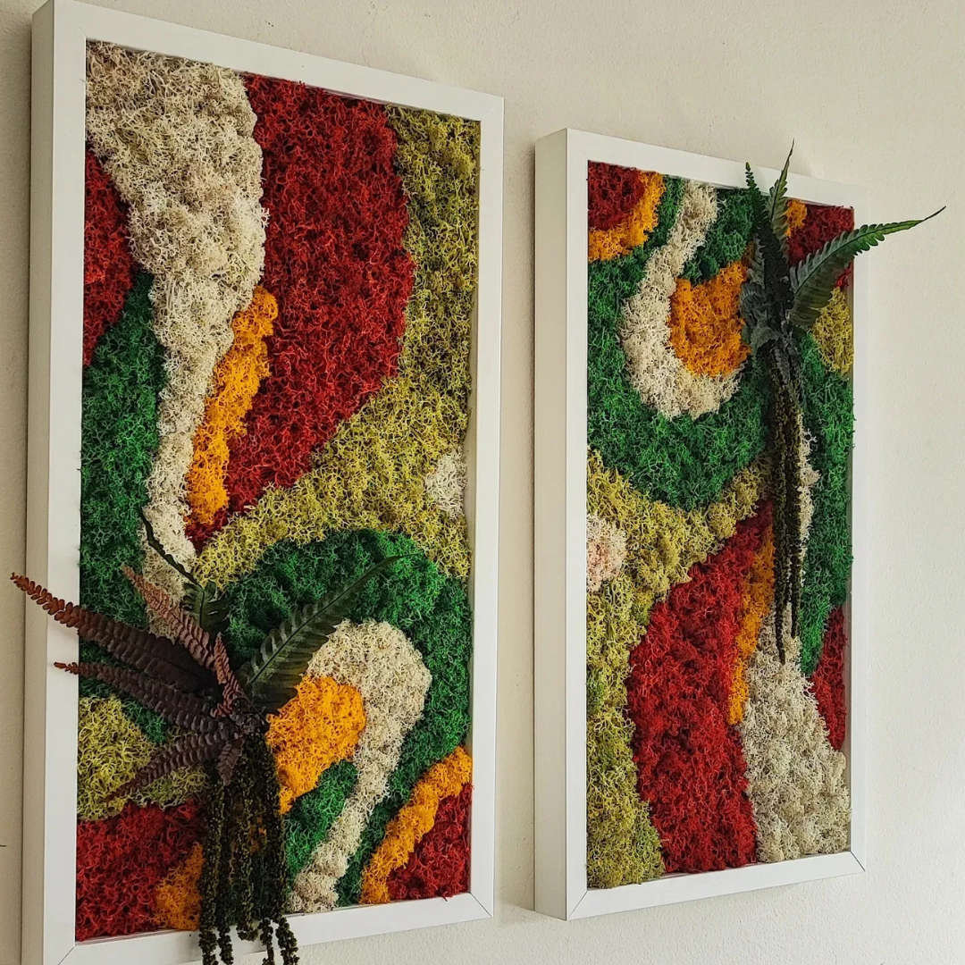 Moldura Madeira branca 45x25cm com Musgo e Plantas Preservadas