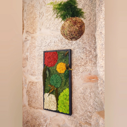 Moldura Madeira preta 30x60cm com Musgo e Plantas Preservadas