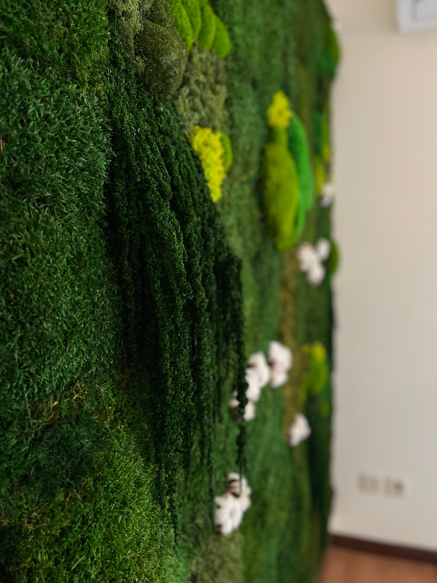 Molduras / painéis / jardins verticais e revestimentos com musgo e plantas preservadas