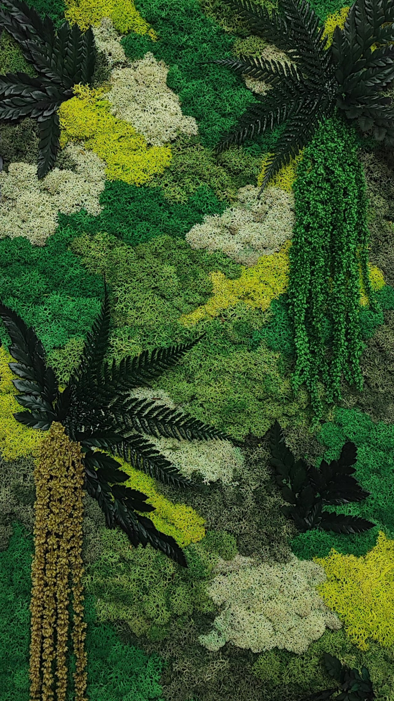 Molduras / painéis / jardins verticais e revestimentos com musgo e plantas preservadas