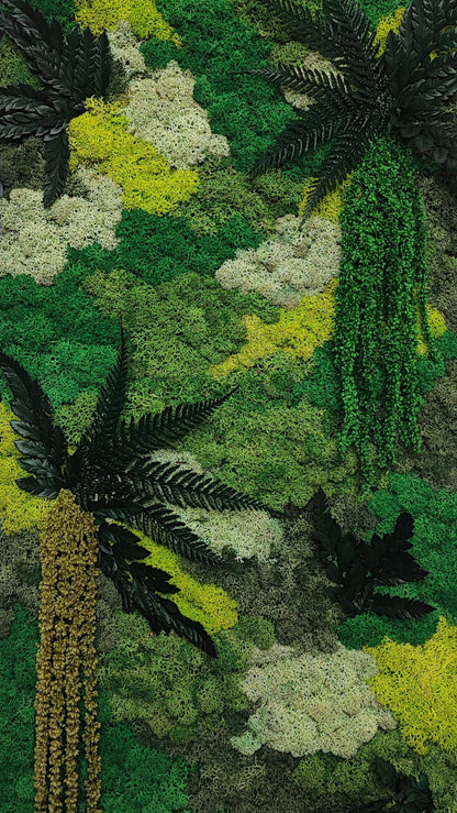 Molduras / painéis / jardins verticais e revestimentos com musgo e plantas preservadas