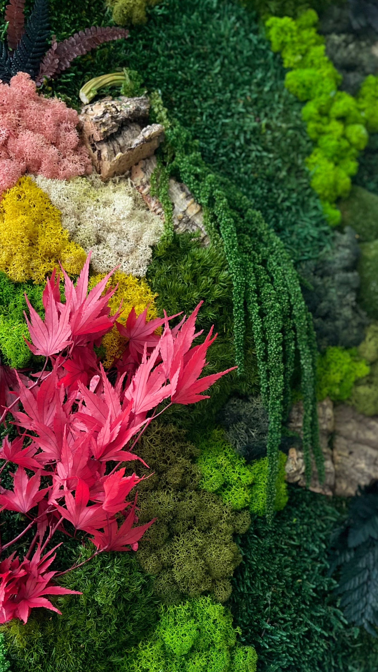 Molduras / painéis / jardins verticais e revestimentos com musgo e plantas preservadas