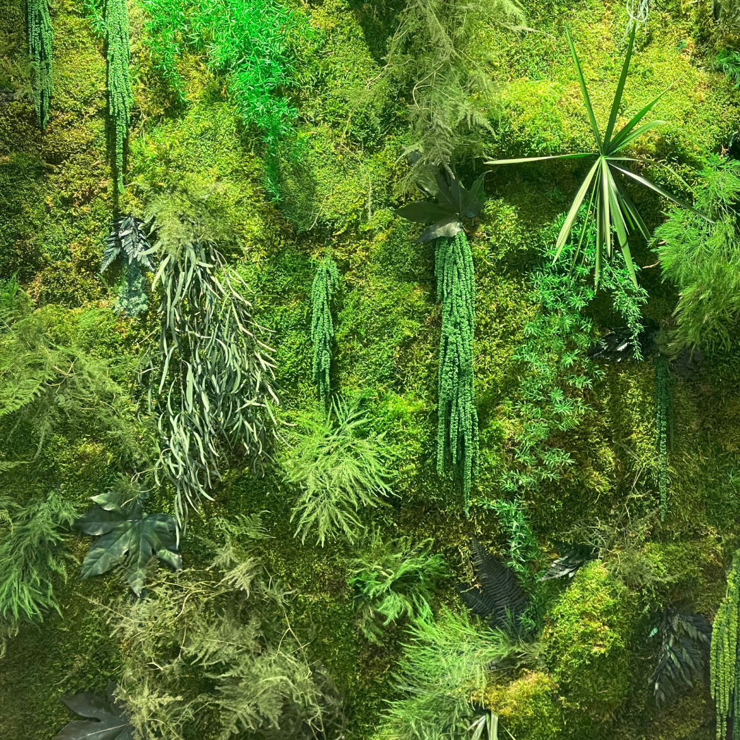 Molduras / painéis / jardins verticais e revestimentos com musgo e plantas preservadas