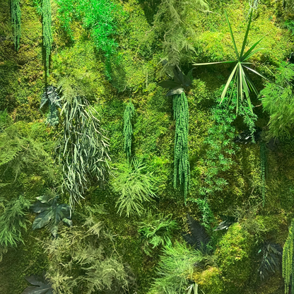 Molduras / painéis / jardins verticais e revestimentos com musgo e plantas preservadas