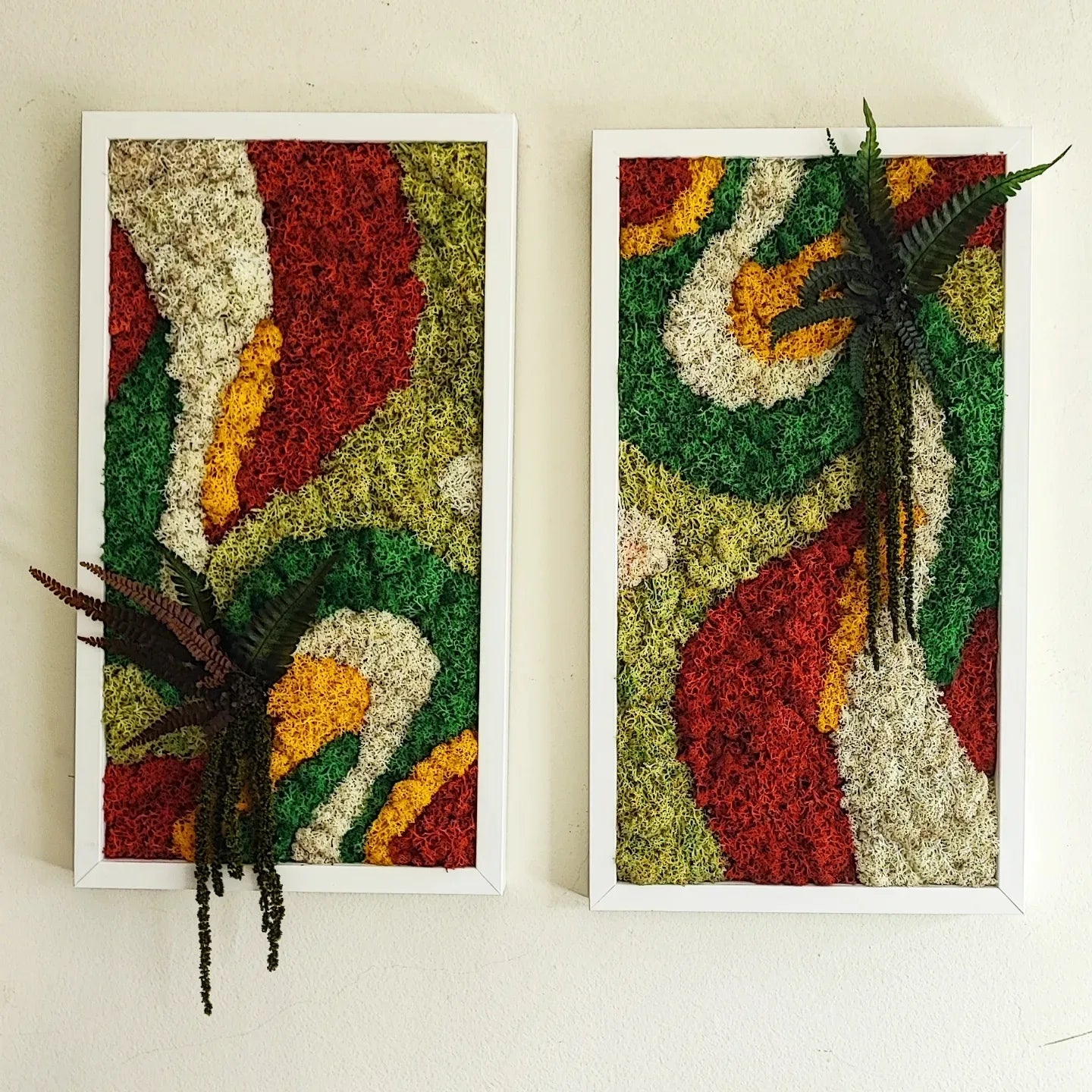 Molduras / painéis / jardins verticais e revestimentos com musgo e plantas preservadas