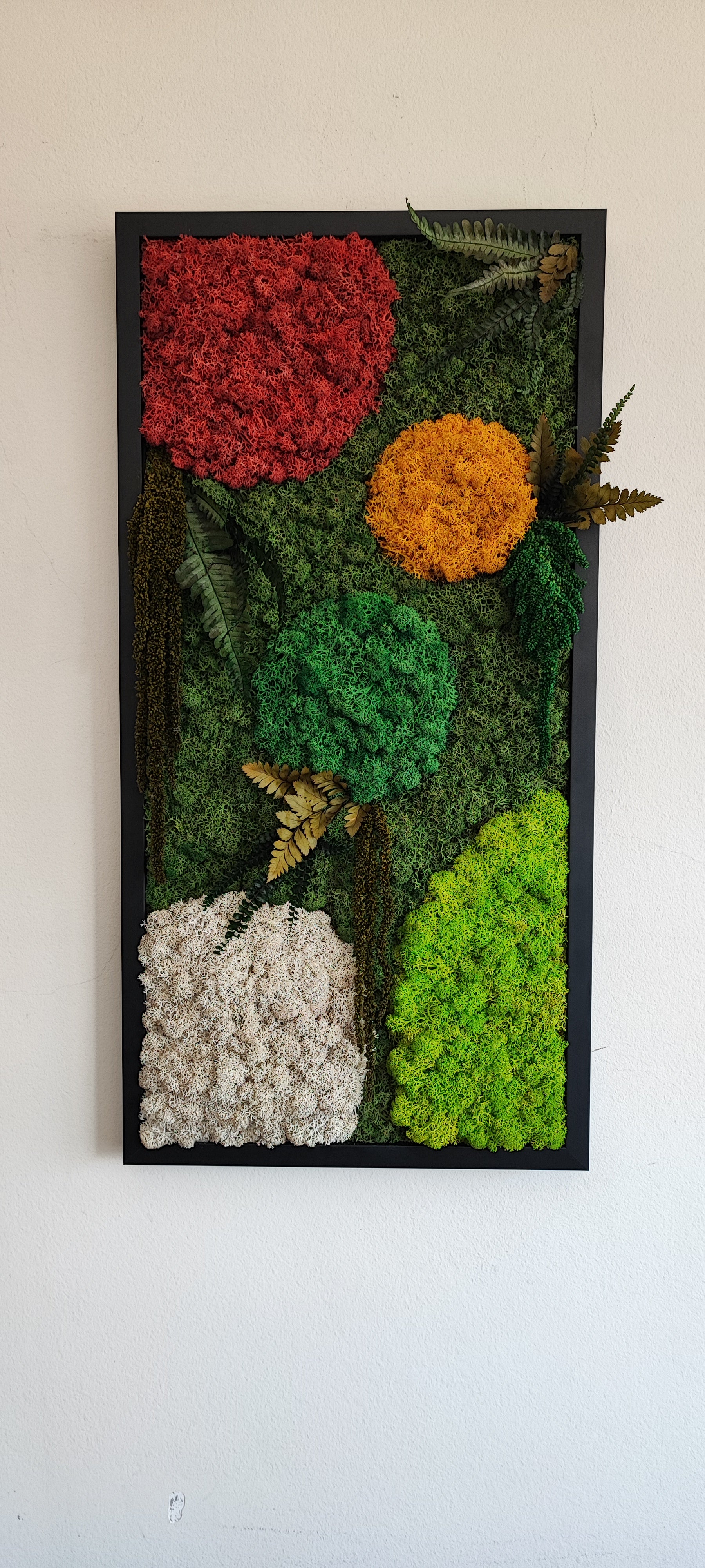 Molduras / painéis / jardins verticais e revestimentos com musgo e plantas preservadas