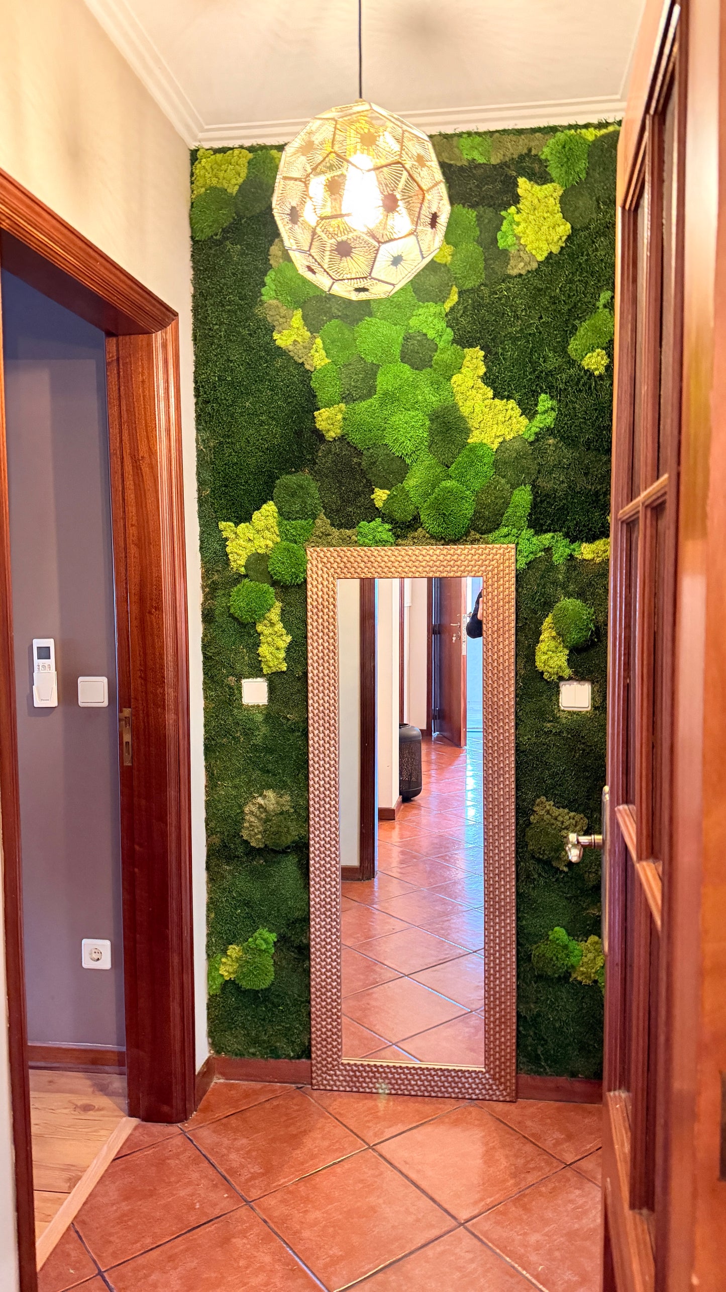 Molduras / painéis / jardins verticais e revestimentos com musgo e plantas preservadas