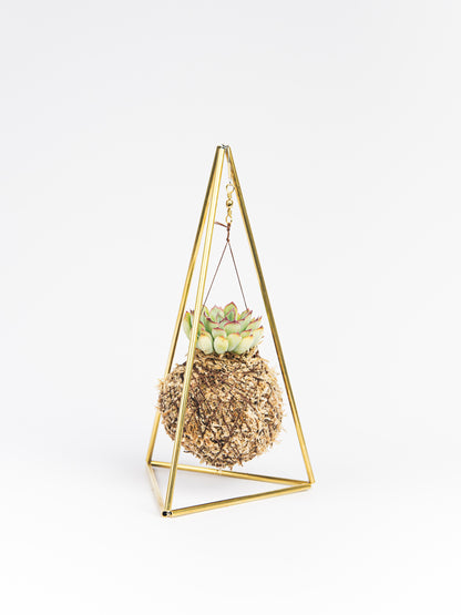 Pirâmide com Kokedama Suculenta