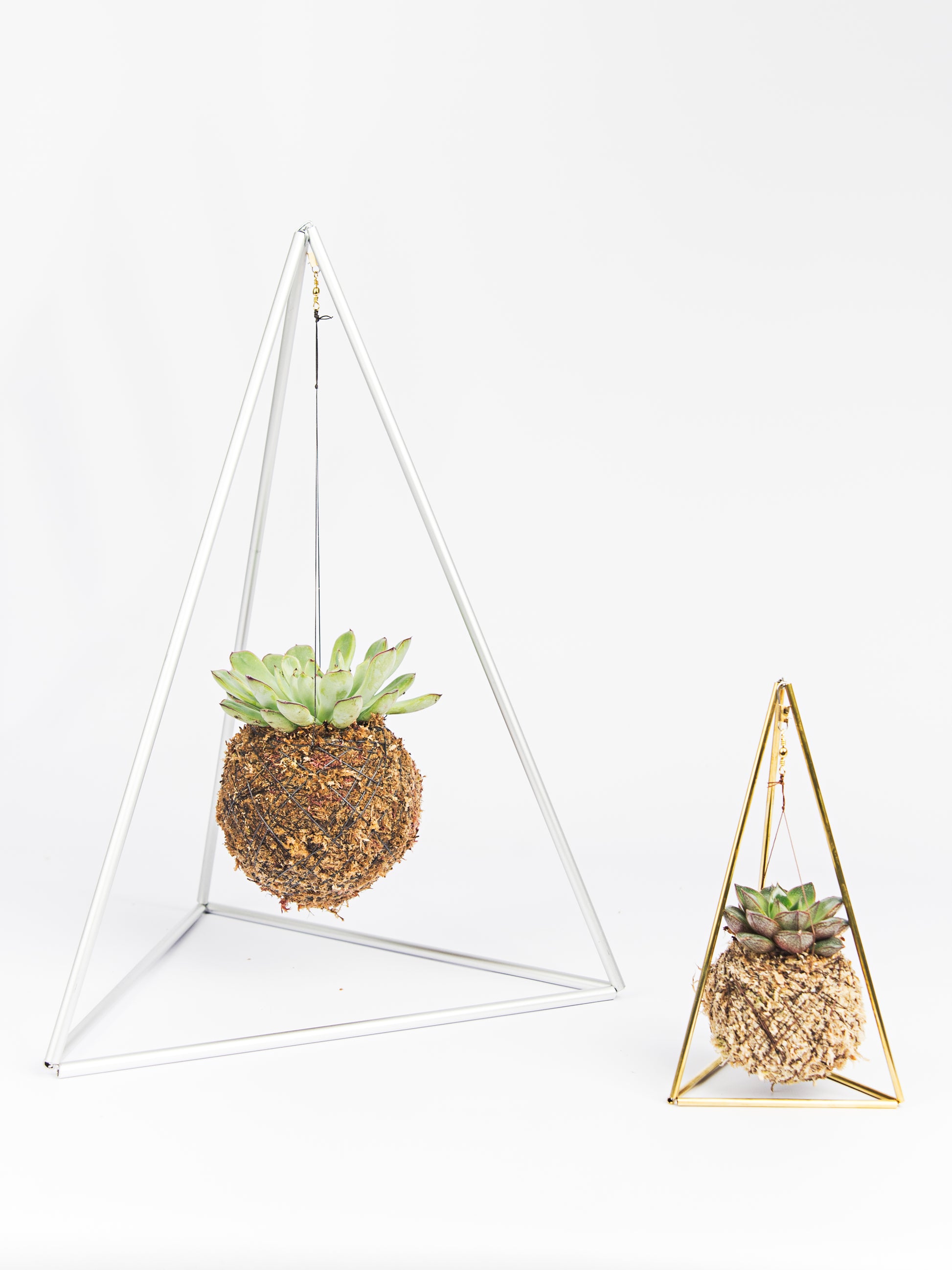Pirâmide com Kokedama Suculenta